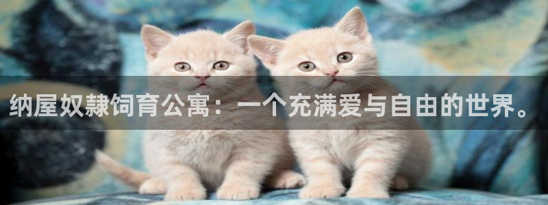 香蕉漫画在线观看网站