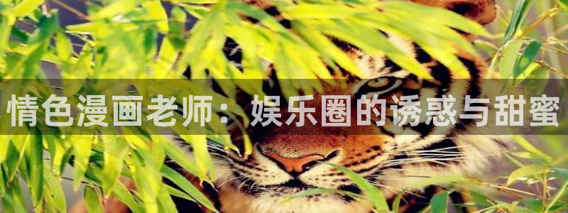 香蕉漫画文化