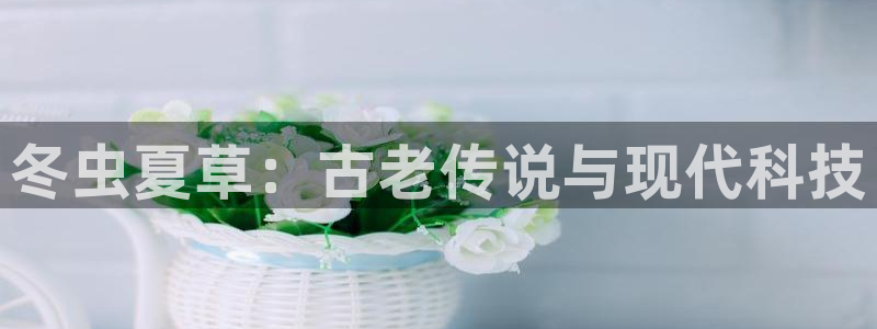 香蕉文化漫画书免费观看
