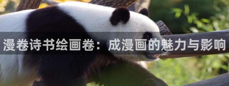 香蕉漫画免费观看入口