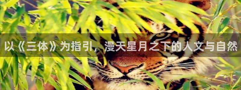 香蕉漫画作品：以《三体》为指引，漫天星月之下的人文与自然