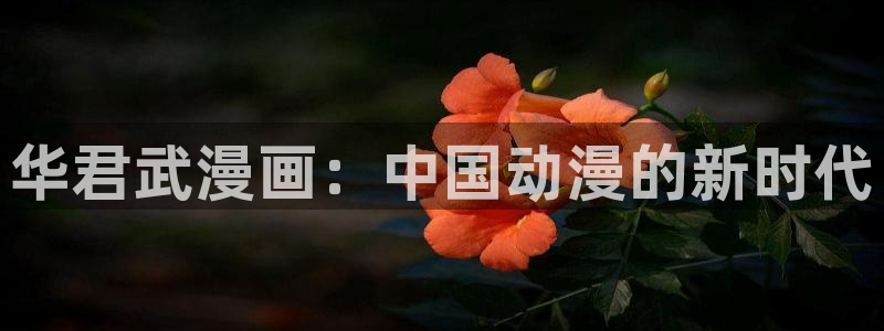 香蕉漫画app入口
