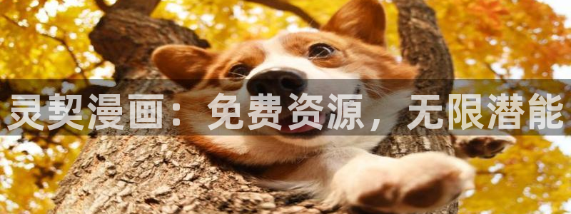 香蕉漫画下拉式免费