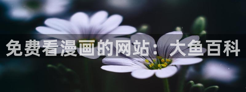 香蕉漫画sss：免费看漫画的网站：大鱼百科