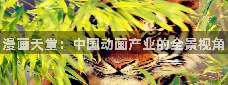 歪歪漫画香蕉漫画网：漫画天堂：中国动画产业的全景视角