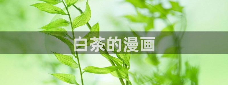 韩漫网站香蕉漫画：白茶的漫画