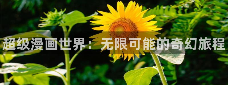 香蕉漫画在线看漫画免费阅读：超级漫画世界：无限可能的奇幻旅程