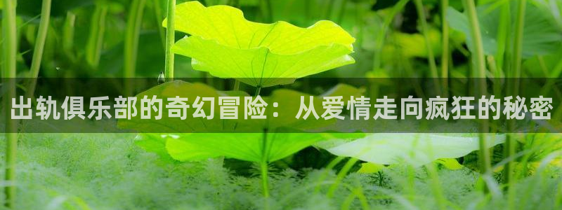 香蕉漫画网站免费：出轨俱乐部的奇幻冒险：从爱情走向疯狂的秘密