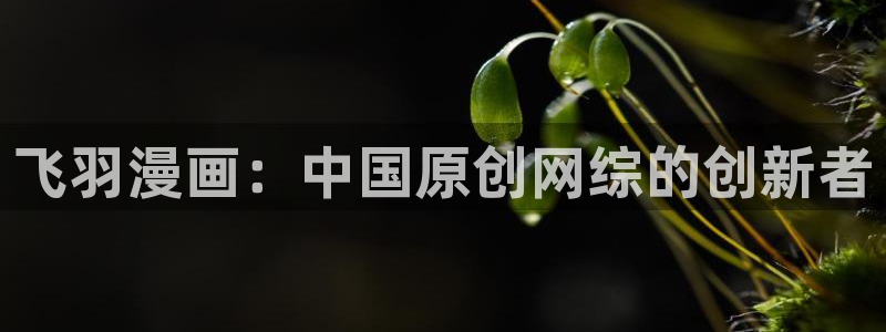 优优漫画香蕉：飞羽漫画：中国原创网综的创新者