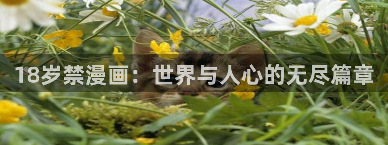 香蕉绯闻漫画：18岁禁漫画：世界与人心的无尽篇章