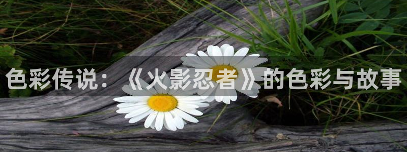 香蕉文化漫画在线阅读：色彩传说：《火影忍者》的色彩与故事
