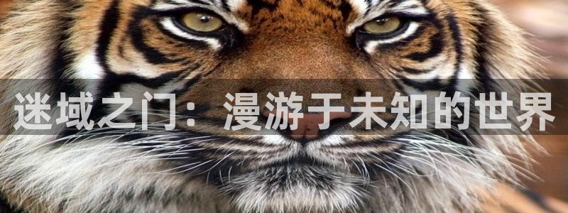 香蕉文化漫画免费浏览入口在哪：迷域之门：漫游于未知的世界