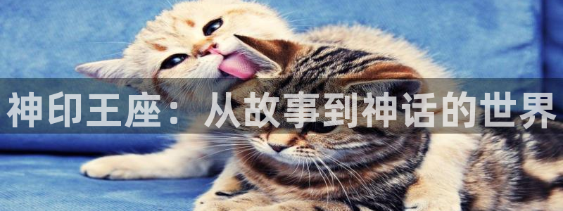 香蕉漫画免费登录入口官网：神印王座：从故事到神话的世界